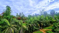 Edgewood Country Place Hotels in Thika