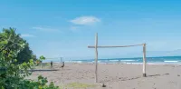 Hotel Serendipity Tortuguero - Beach