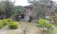 Maremonti Bed & Breakfast Hotels near Punta Rocosa al Final de Playa Salango.