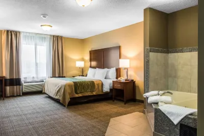 Comfort Inn Lancaster County Отели в г. Восток Донегал Тауншип
