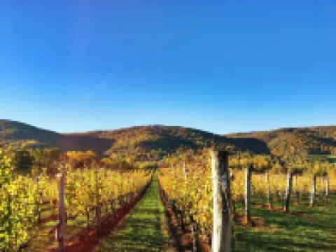 Afton Mountain Vineyards Hotels in Nelson County