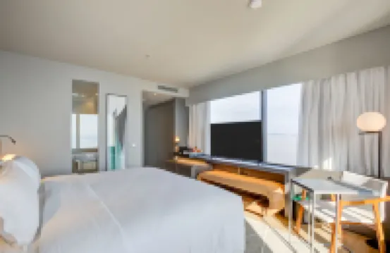 波爾圖阿雷格里雙杏希爾頓酒店