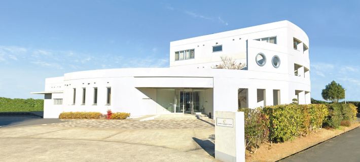 Hotel Tatsumi Club Hotéis em Ichihara
