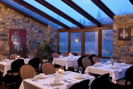 Domotel Neve Mountain Resort Отели в г. Чеган