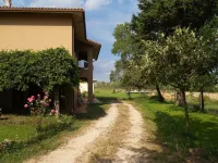 Agriturismo Cavallin Del Bufalo Hotels near Sotto Costo Di Zhang Congli
