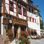 Zum Treuen Bartel Hotels near Aufwind-Gemeinde Hemmingen