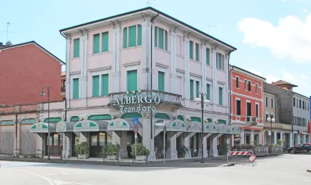 Albergo Ristorante Leon d'Oro Отели в г. Сальгареда