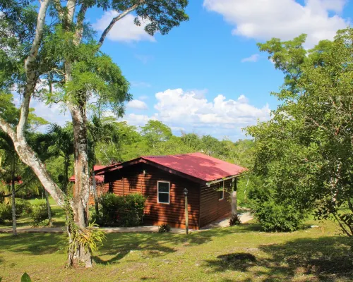 The Log Cab-Inn Hotels in San Ignacio