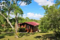 The Log Cab-Inn Hotels in Bullet Tree Falls