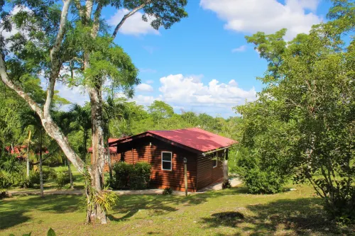 The Log Cab-Inn Hotels in Bullet Tree Falls