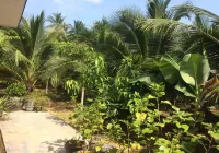 Kelulut Lodge Hotels near Manipal University College Malaysia | Muar Campus