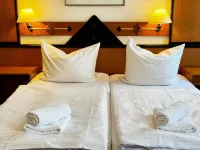Hotel Zur Eiche Hotels in Meerane