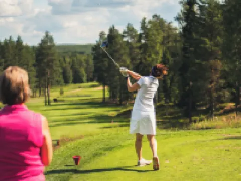 Arctic Light Hotel Hotels in Rovaniemi