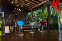 La Aldea de La Selva Lodge - bars