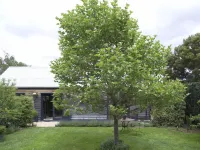 Elm Cottage Barn Ξενοδοχεία στην πόλη Oatlands