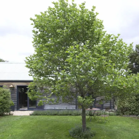 Elm Cottage Barn Отели в г. Отлендс