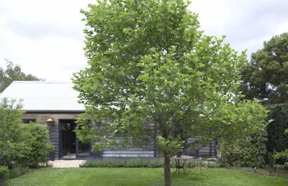 榆樹小屋穀倉住宿加早餐旅館
