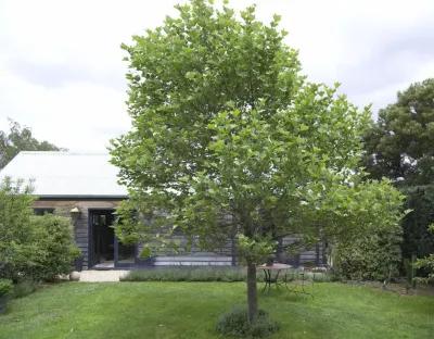 Elm Cottage Barn Hotels in 