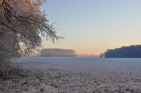 Landgasthof Pleister Mühle