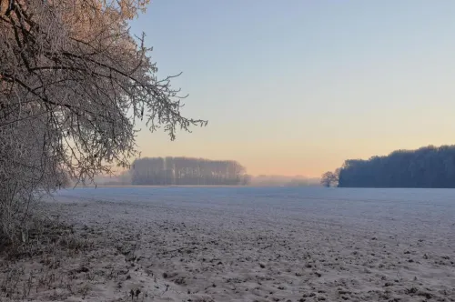 Landgasthof Pleister Mühle