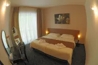 Interhotel America Hotel di Drazic