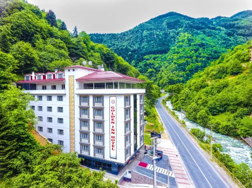 Golden Inn Hotel Uzungöl Отели в г. Taskiran Mahallesi