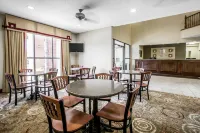 Comfort Inn & Suites Lenoir Hwy 321 Northern Foothills