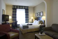 Holiday Inn Express & Suites Atlanta-Emory University Area Hotel a Decatur