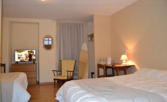 Hotel du Lion Vert