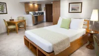 The Marlin at Taino Beach Resort Hotels in Freeport