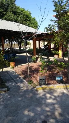 Room in Guest Room - Hospedaje Familiar Op3 Hotels in Tlaquiltenango