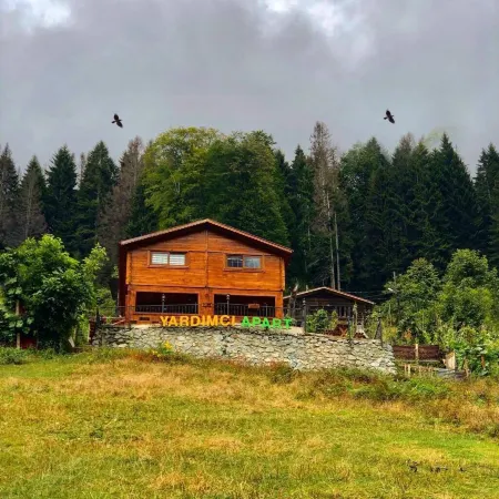 Ayder Yardimci Apart Отели в г. Yukarisimsirli Koyu