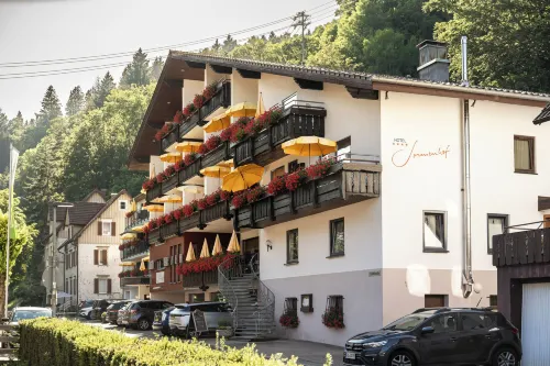 Ringhotel Sonnenhof 엔즈클로슈테르레 호텔
