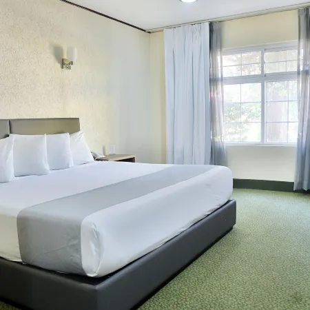 Hotel Sicomoro