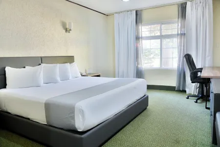 Hotel Sicomoro Отели в г. Чиуауа