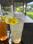 ศรีลันตา รีสอร์ท แอนด์ สปา (ปรับปรุงใหม่) - ที่มีบาร์