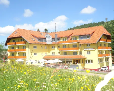 Burg Hotel Feldberg Hotels in Feldberg