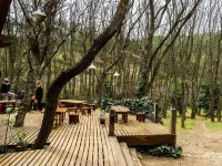 Carolina Leone Hotels in 