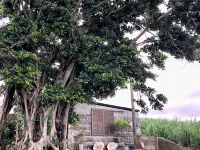 Villa Gazamani Hotels in Yaese