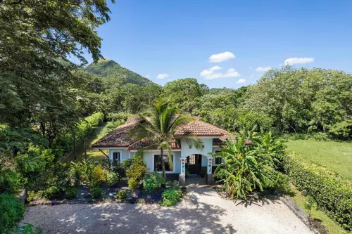 Stylish Home with Chic Decor, Luxury Amenities & Tropical Outdoor Oasis with Sparkling Private Pool