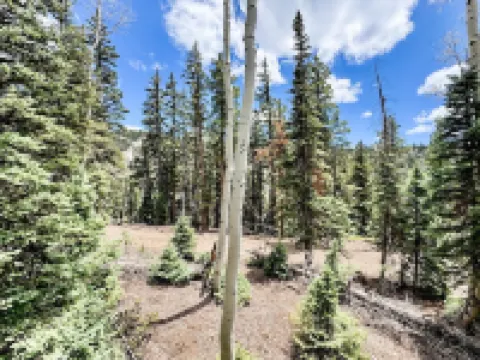 Escape into Nature - Cozy Beaver Cabin by Eagle Point Ski Resort & Puffer Lake