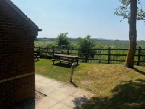 卡林頓阿姆斯酒店 酒店