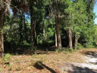 Beautiful cottage on 28 acres of prime land, in Fruitland, Florida!