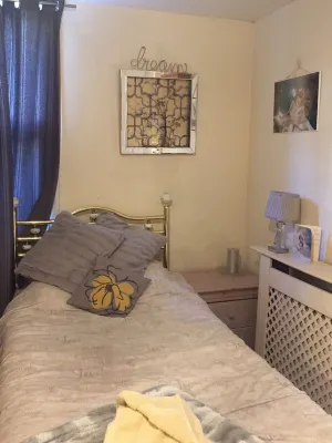 Shakespeare apartment vintage home from home on the edge of National Forest  호텔