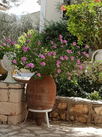 Elif Sunninghill 3 bed Duplex Apartment With Large Private Pool and sun Terrace Отели рядом с достопримечательностью «Kaputas Beach»