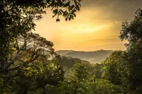 Mountain Top Glamping Tree House with a Star Bed Hotels in Balangoda