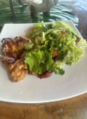 Experience the Pure Life in the Private Jungle Paradise of Ojochal