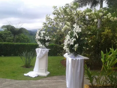 Toucans, Mountains & Waterfalls! Jungle Villa, 5-8 BR, with full staff. Hotels near Centro de Eventos las Cuadras