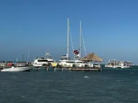 Coconuts Caribe 202 on tropical island