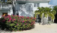 PALM BREEZE VILLA